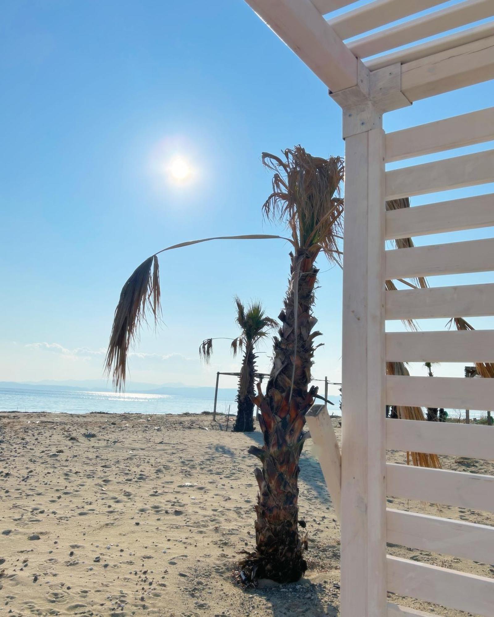 Soho Ayvalik Beach House Hotel Kucukkoy  Bagian luar foto